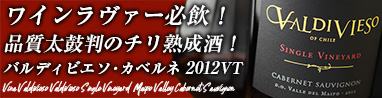 バルディビエソ　シングルヴィンヤード　マイポ・ヴァレー　カベルネ・ソーヴィニヨン(赤)
