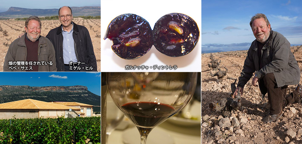 エル・ビヒア デ・ラ・アタラヤ オーガニック(赤) ワイン エル・ビヒア デ・ラ・アタラヤ オーガニック(赤) ワイン