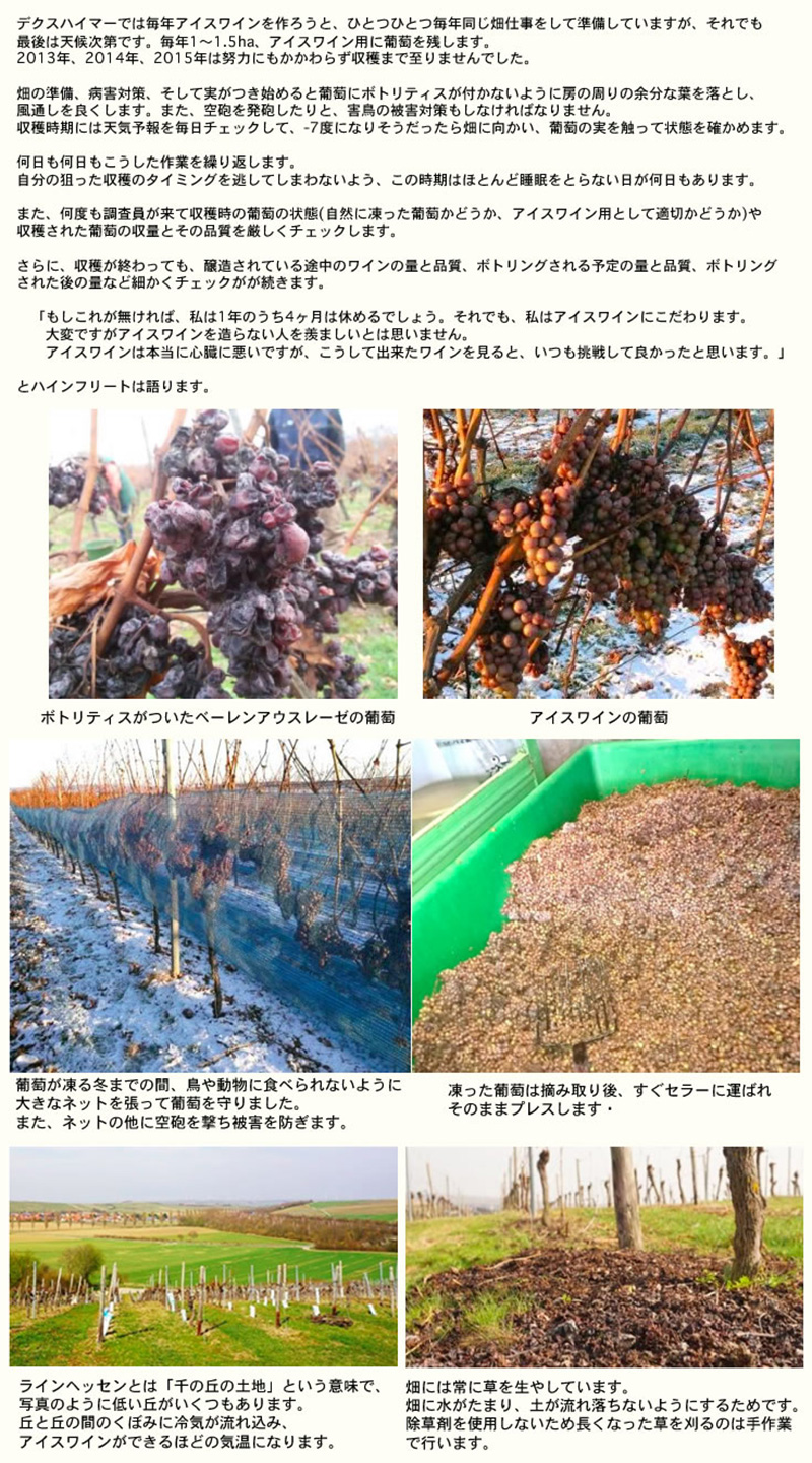 デクスハイマー　ヴァインハイマー　カペレンベルク　シルヴァーナー　アイスヴァイン(白)