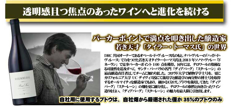 ディアバーグ上部 ディアバーグ上部