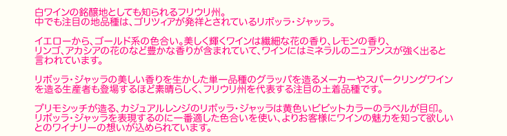 プリモシッチb188