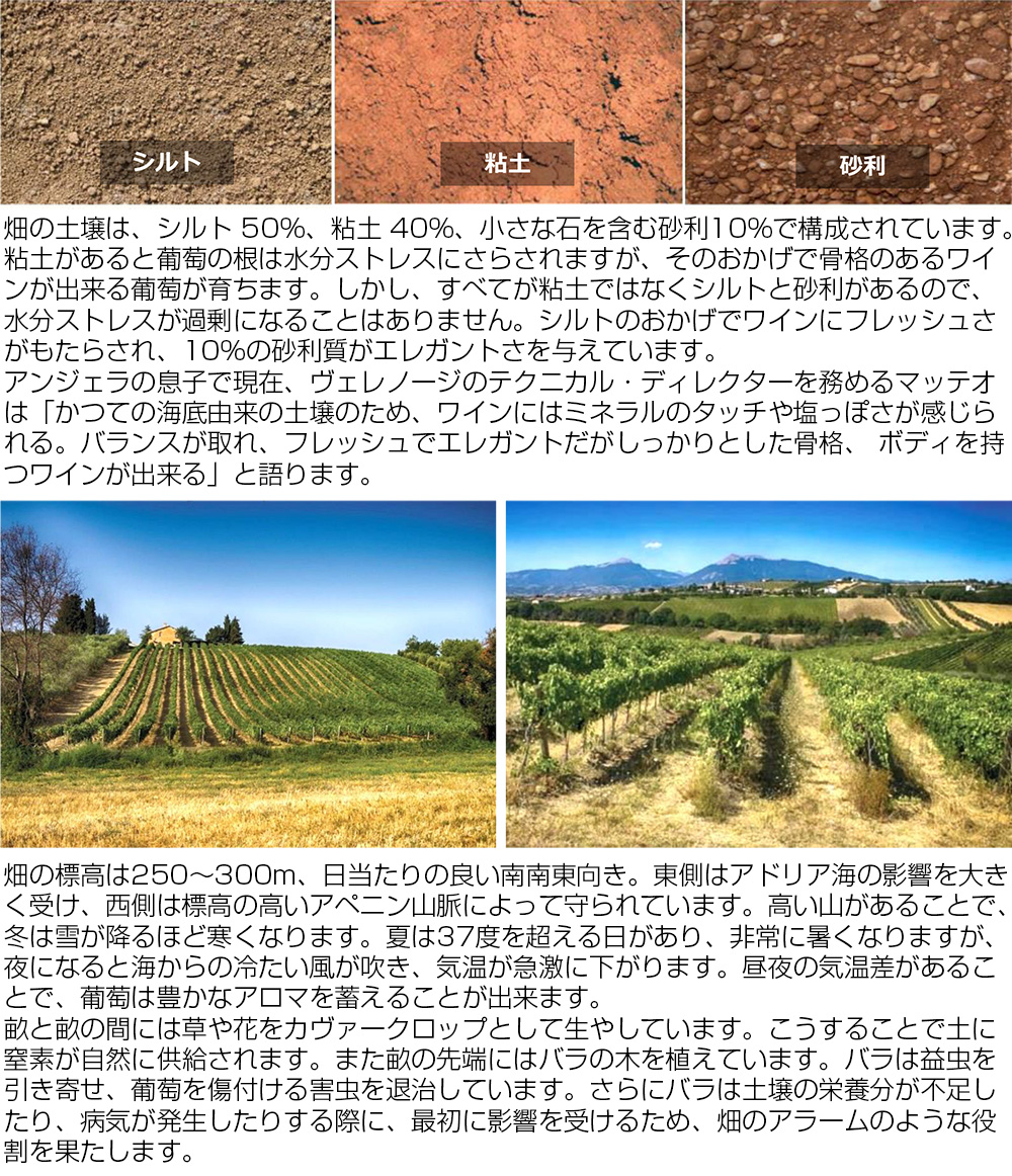 ヴェレノージ プローペ ワイン
