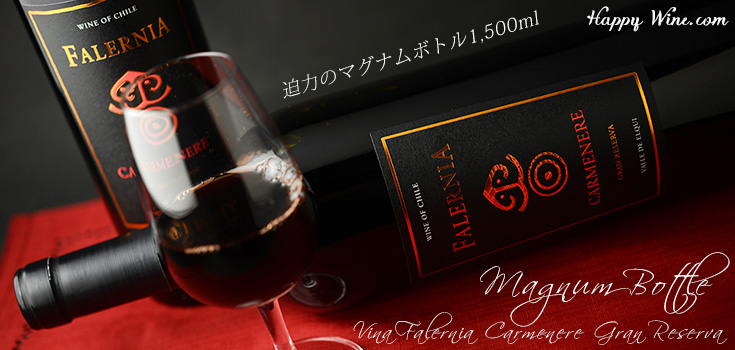  ◎マグナムボトル　ビーニャ・ファレルニア　カルムネール　グラン・レセルバ(赤)　1500ml