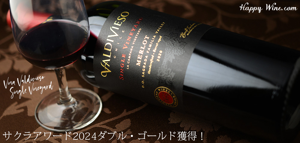  【SALE/通常2800円】◎バルディビエソ　シングルヴィンヤード　サグラダ・ファミリア　メルロー(赤)　750ml