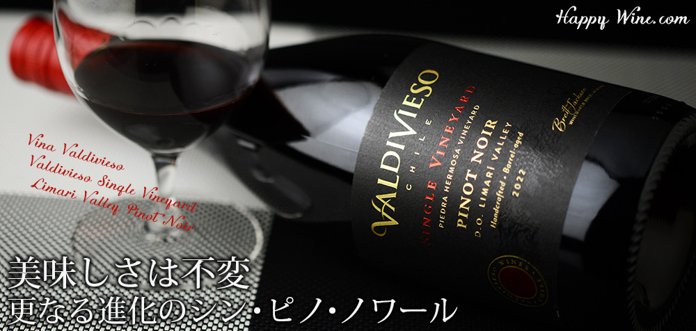 ◎バルディビエソ シングルヴィンヤード リマリ・ヴァレー ピノ・ノワール(赤)(SC) 750ml