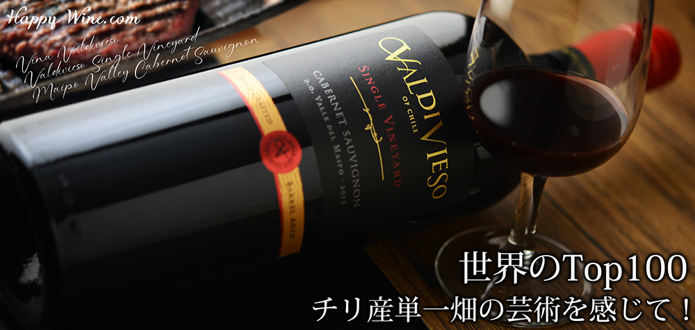 ◎バルディビエソ シングルヴィンヤード マイポ・ヴァレー カベルネ・ソーヴィニヨン(赤) 750ml