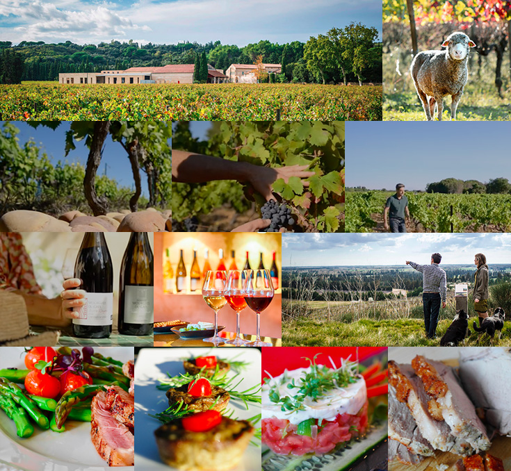 Chateau Mourgues du Gres