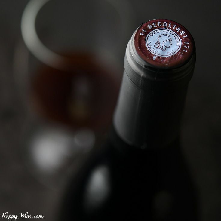 レイモン・ジュリアン　ラゼロール　ヴィエイユ・ヴィーニュ　ミネルヴォワ(赤)