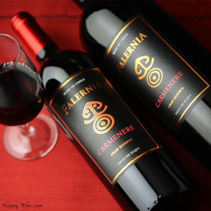 マグナムボトル　ビーニャ・ファレルニア　カルムネール　グラン・レセルバ(赤)