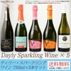 【送料無料】デイリー・スパークリングワイン 750ml×5本セット